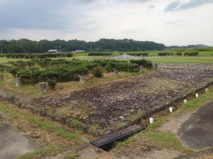 飛鳥推定地